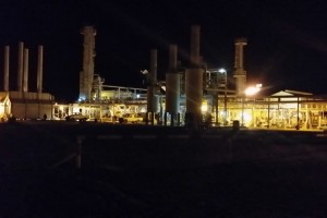 Gallery image 11